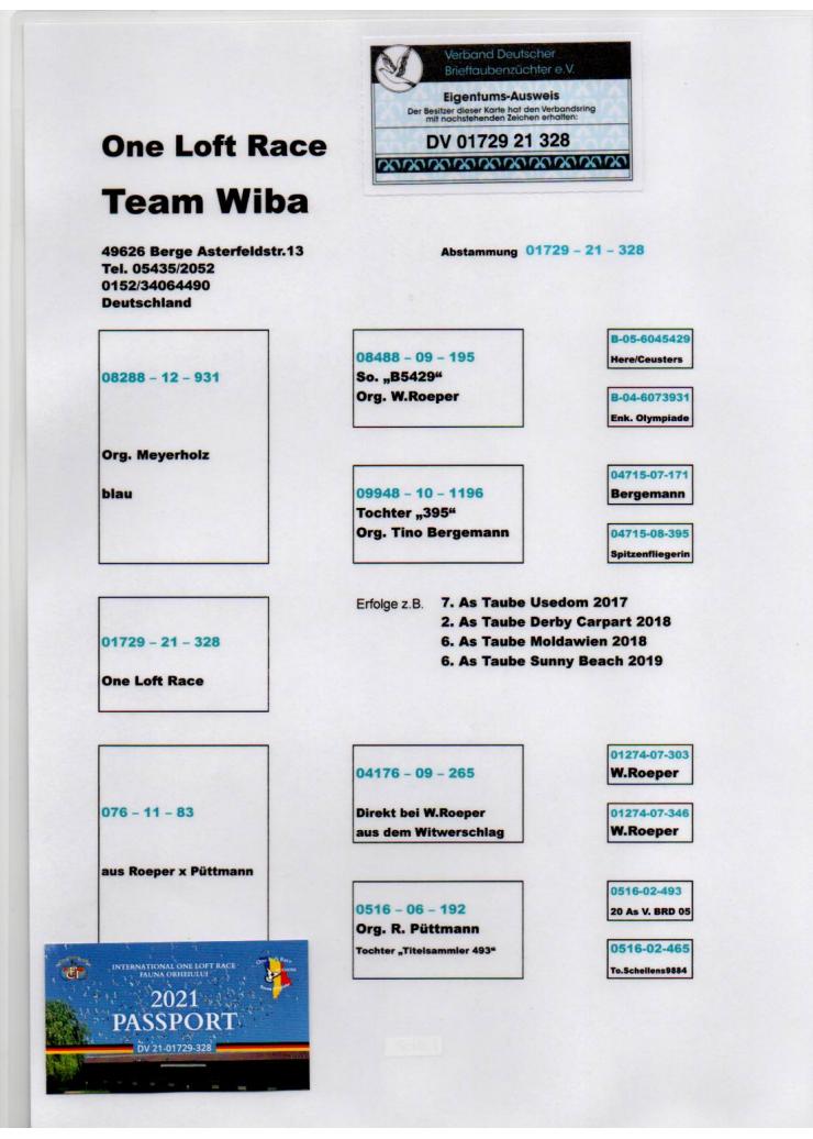Team Wiba	--	Germany	DV 21-01729-328