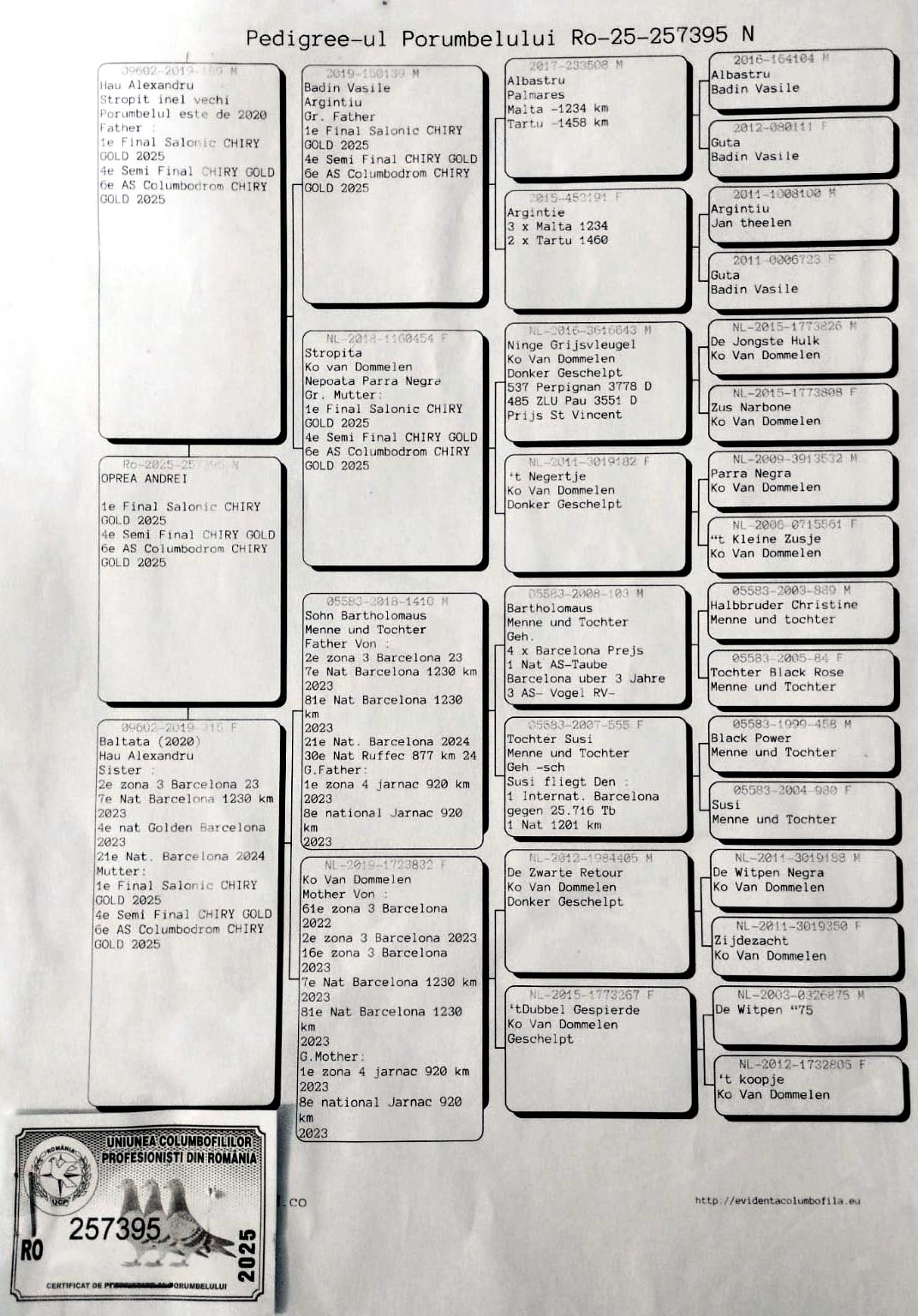 1 place Final (562 km) + 6 Ace OPREA ANDREI - RO 257395/25