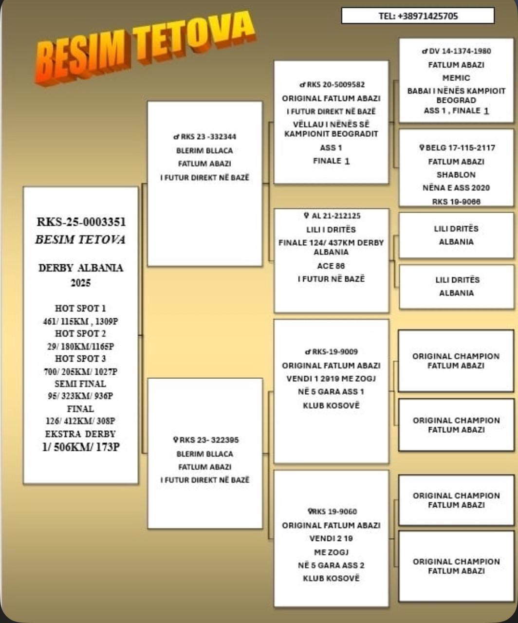 1	place Super Derby (506 km) 	 Besim Tetova	 RKS-0003351-2025	