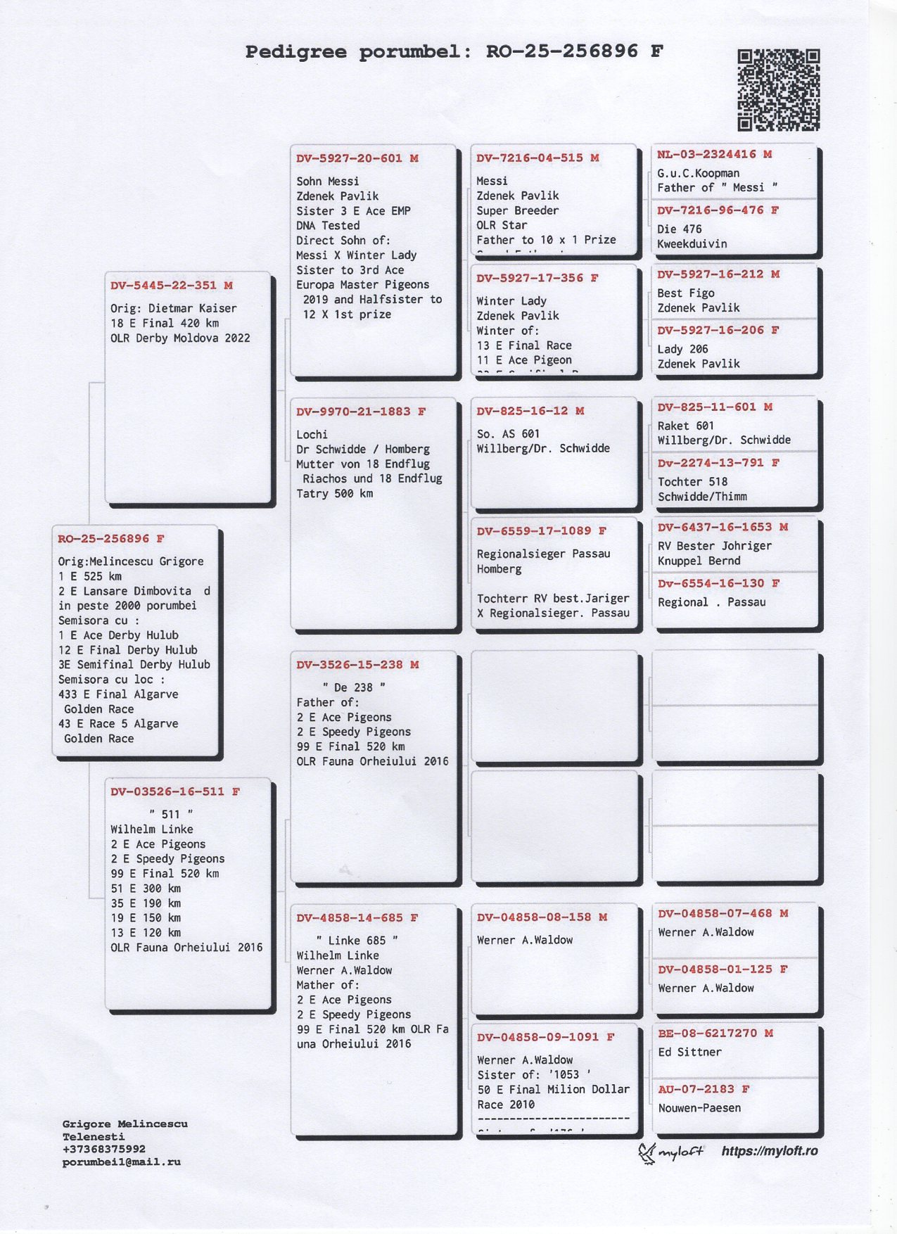 1 SUPER DERBY (524 km) MELINCESCU GRIGORE 256896 25