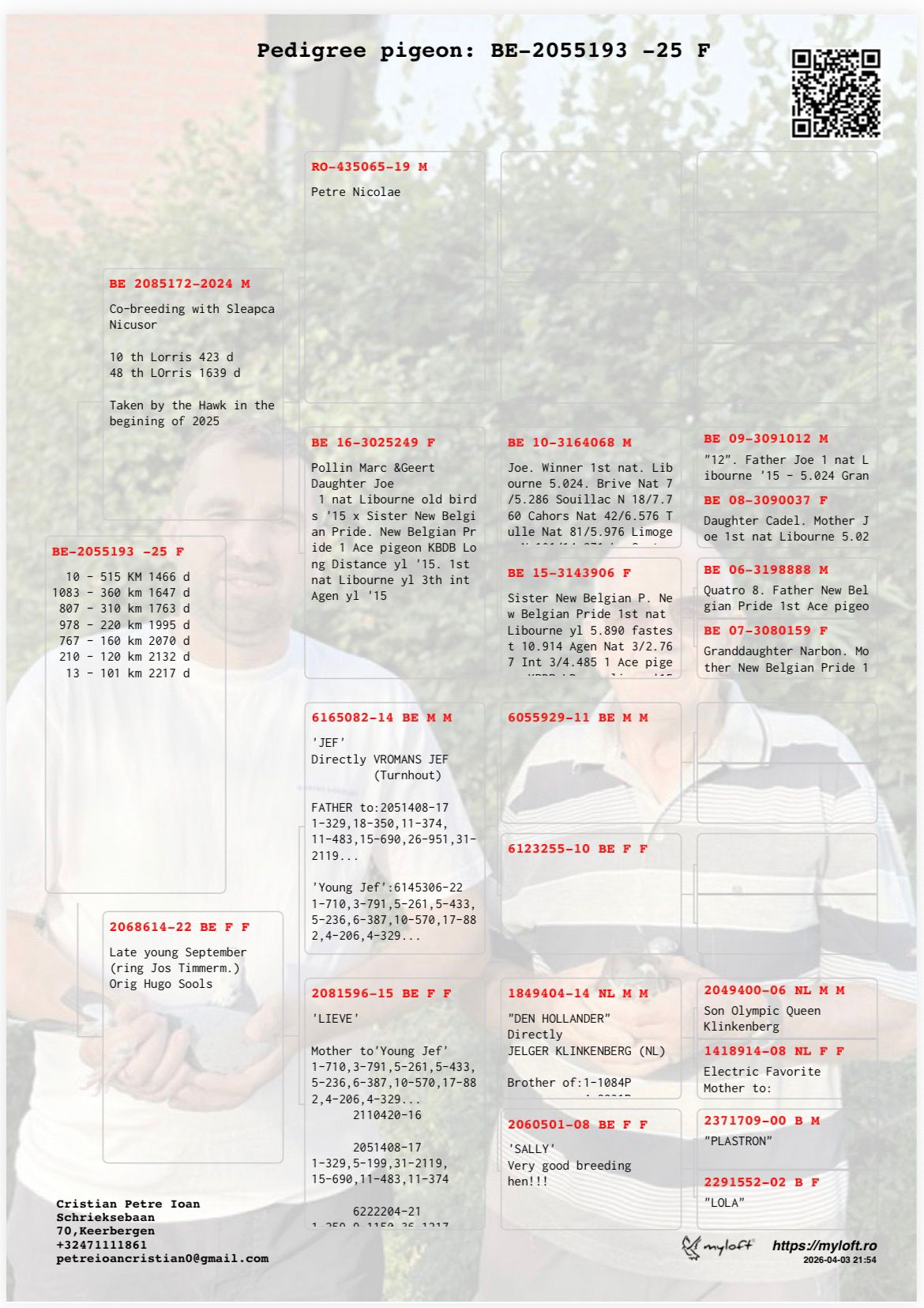 10	FINAL RACE (515 km) 	 TEAM JC LOFTS	 BE-25-2055193	