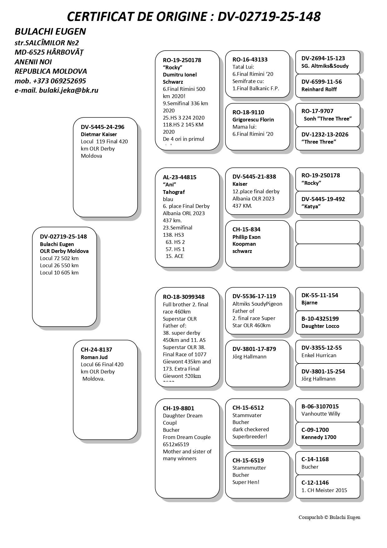 10	place Extra Super Derby (605 km) + 3 Ace FOND Bulachi Eugen	 DV-25-02719-148	