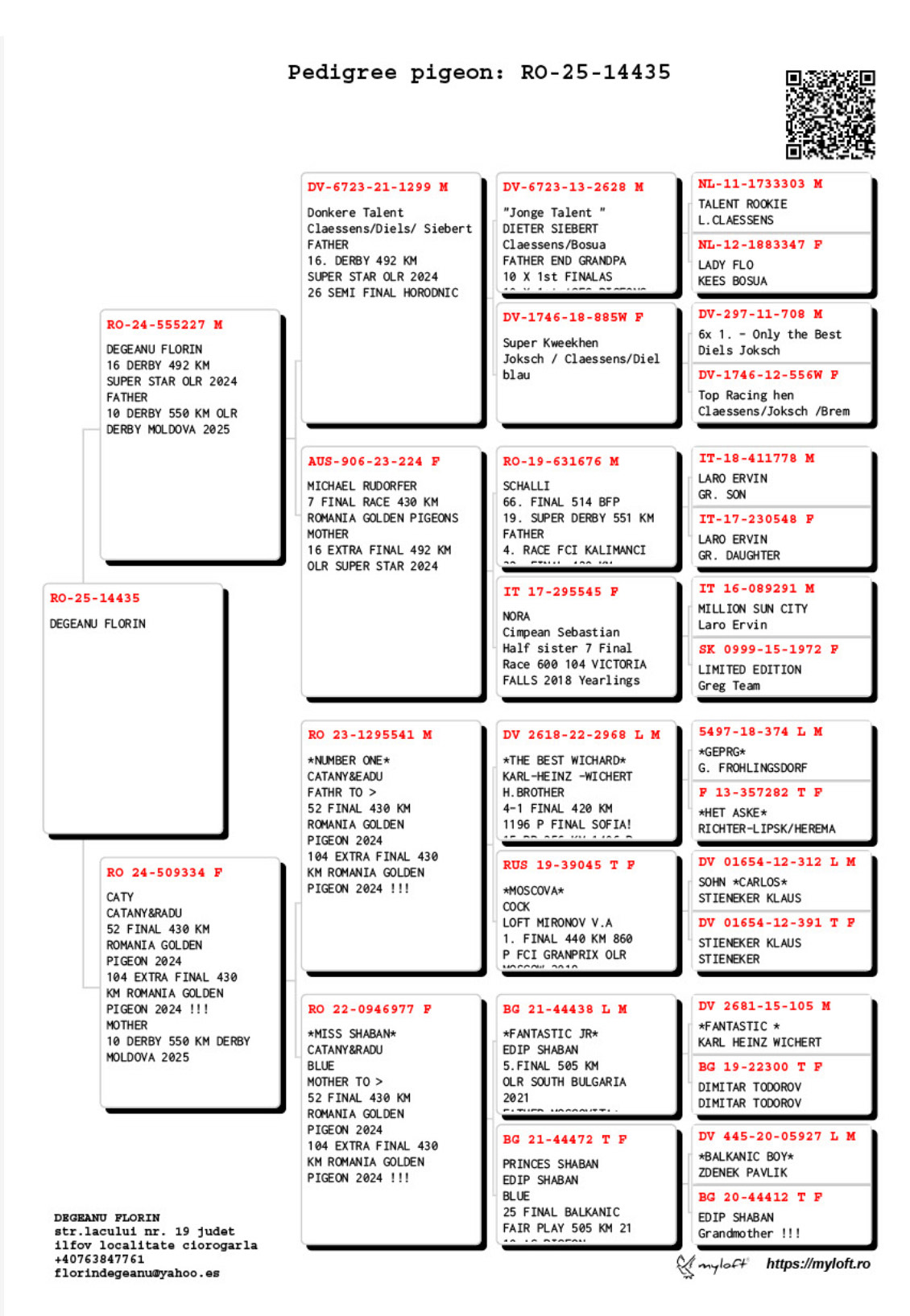 10	place Super Derby (550 km) 	 Degeanu Florin	 RO-25-0014435	