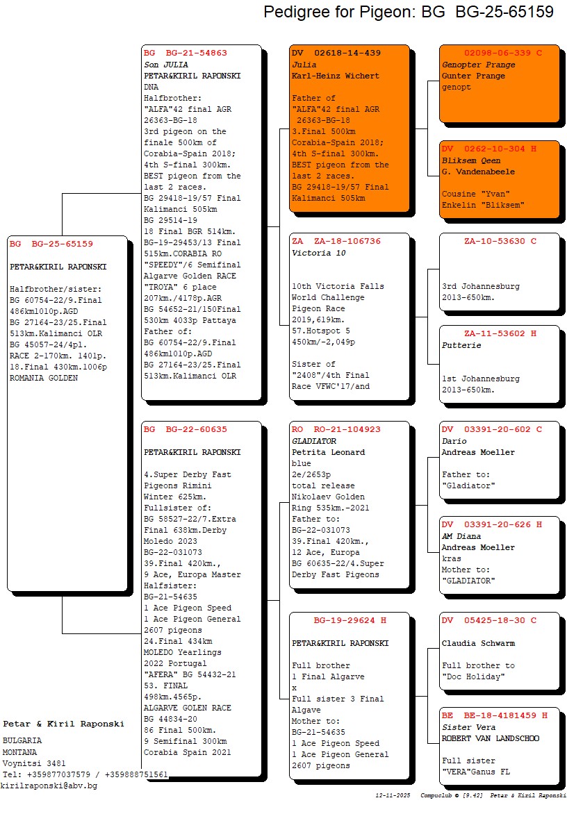100	Final Race (506 km) 	 PETAR & KIRIL RAPONSKI	 BG 65159	