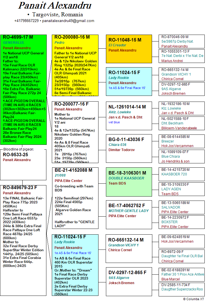103	Final Race (506 km) 	 PANAIT ALEXANDRU + ALEX BUCALOIU	 RO 9533	