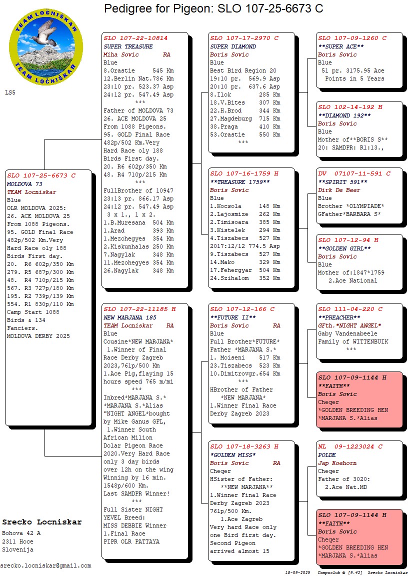 106	 	 Final Race (502 km)	Team Locniskar + Sovic	 SLO-25-107-6673	