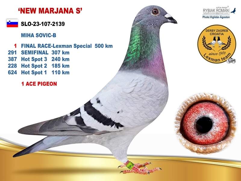 106	 	 Final Race (502 km)	Team Locniskar + Sovic	 SLO-25-107-6673	