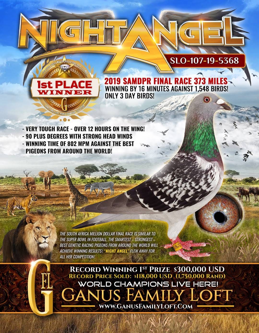 106	 	 Final Race (502 km)	Team Locniskar + Sovic	 SLO-25-107-6673	