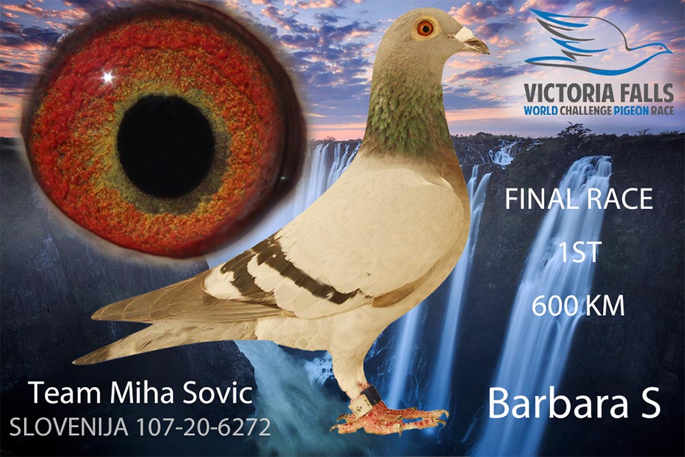 106	 	 Final Race (502 km)	Team Locniskar + Sovic	 SLO-25-107-6673	