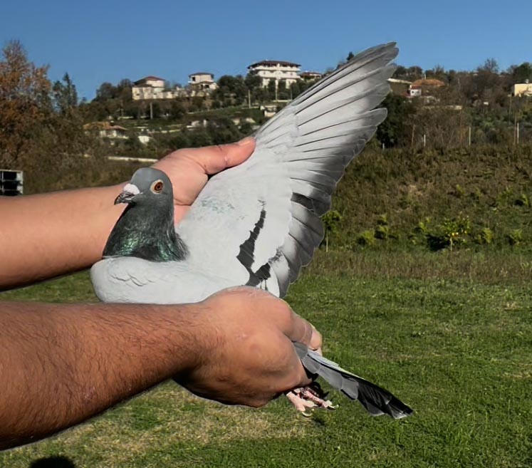 109	place Super Derby (506 km) 	 Etem Hasanaj Team A	 AL-61045-2025 	