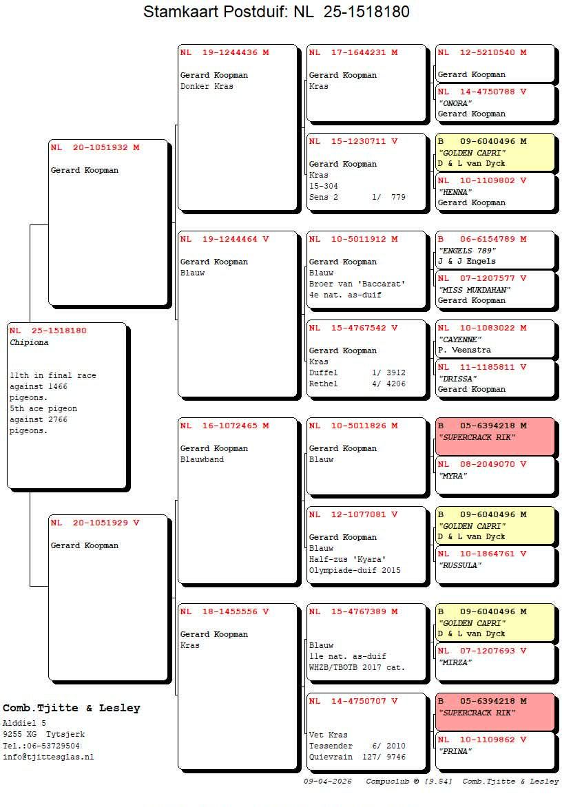 11	FINAL RACE (515 km) + 5 ACE 	 TJITTE & LESLEY	 NL-25-1518180	