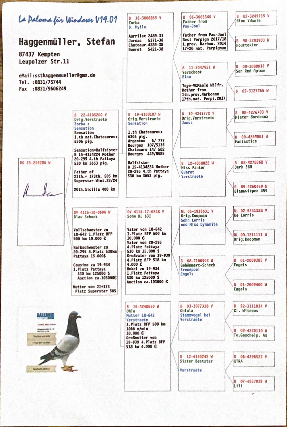 11	place Super Derby Halkidiki (554 km)	STEFAN HAGGENMULLER	259280	25					