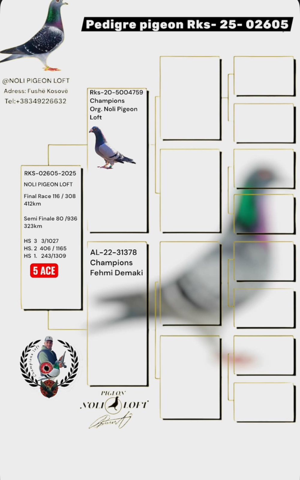 116	Final Race (412 km) + 5 Ace 	 Noli Pigeons Loft  RKS-02605-2025	