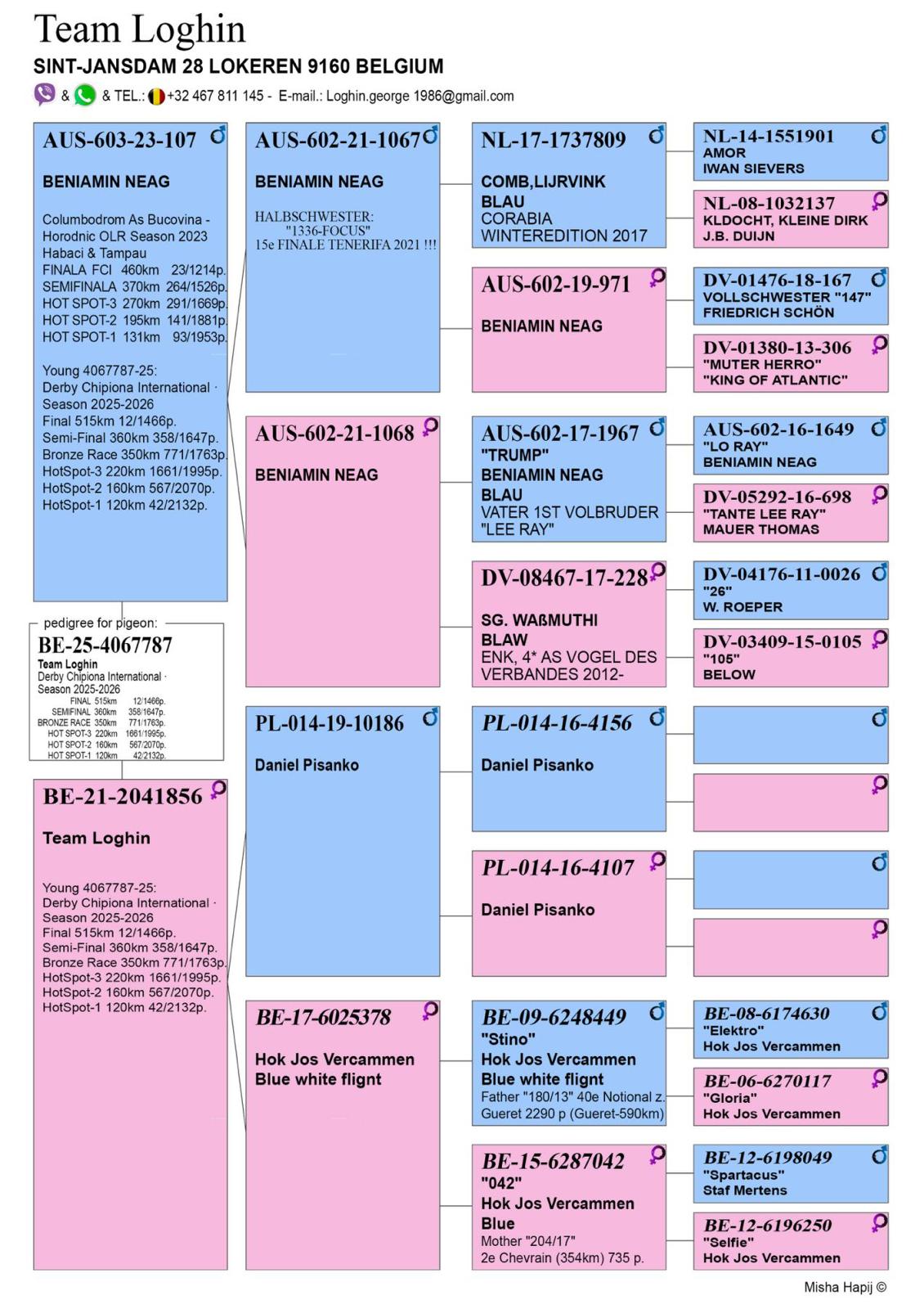 12	FINAL RACE (515 km) 	 TEAM LOGHIN	 BE-25-4067787	
