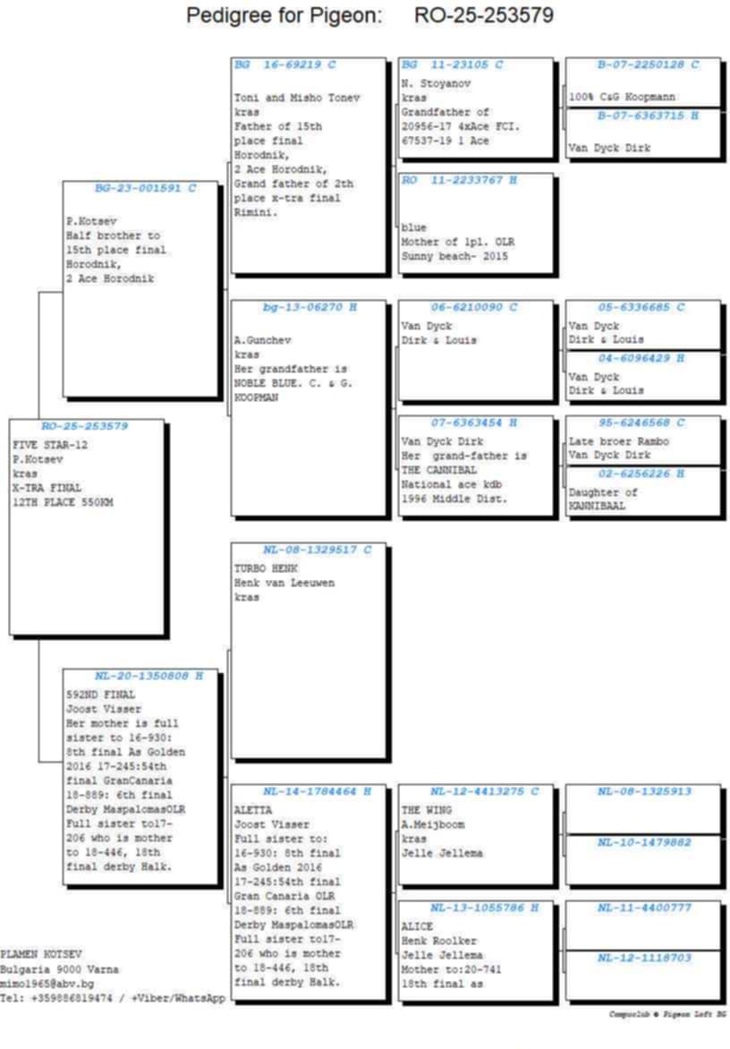 12	place Super Derby Halkidiki (554 km)	PLAMEN KOTSEV	253579	25					