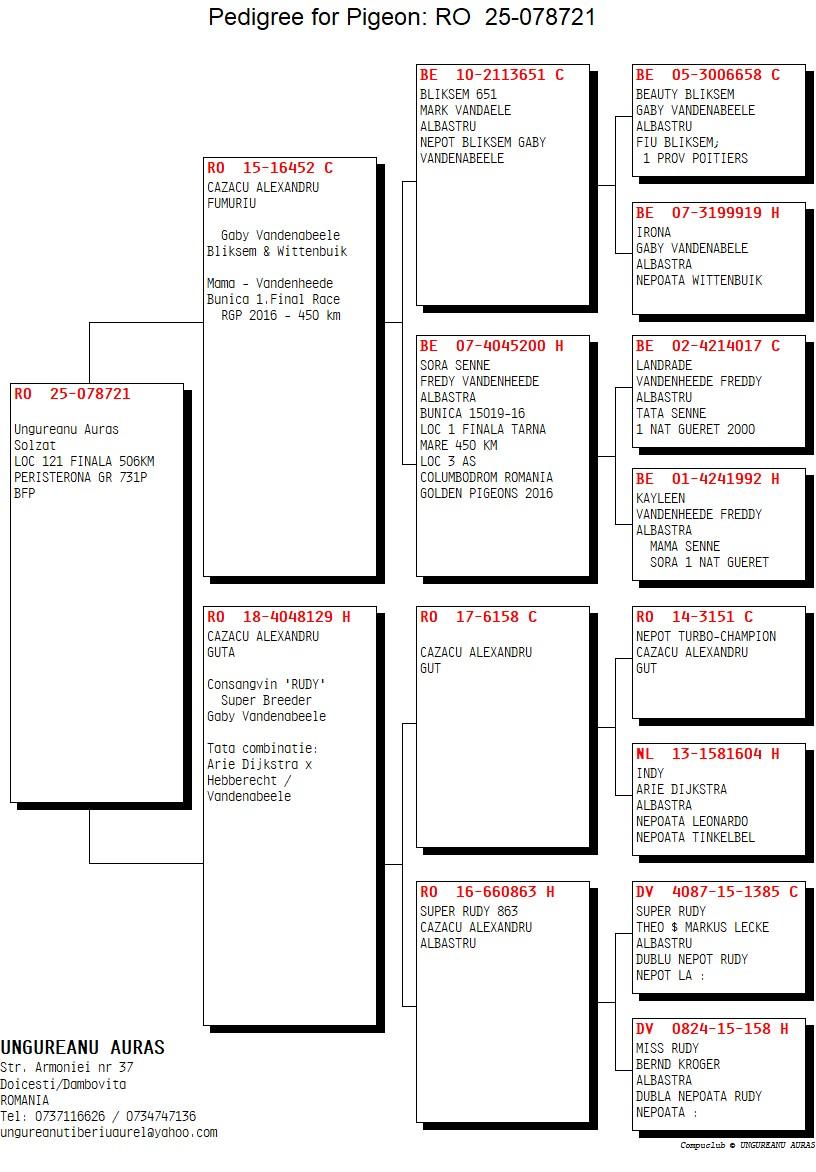 121	Final Race (506 km) 	 UNGUREANU AURAS	 RO 278721	
