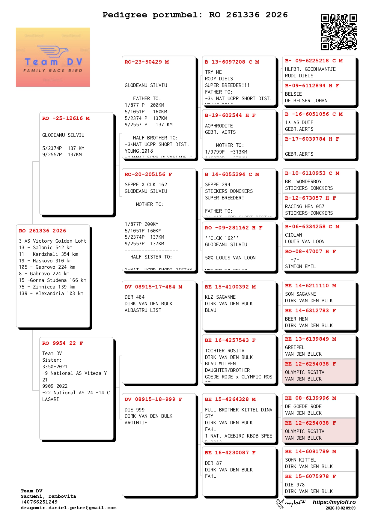 13 Final + 81 Salonic Golden Ring &middot;      TEAM DV 261336-2026