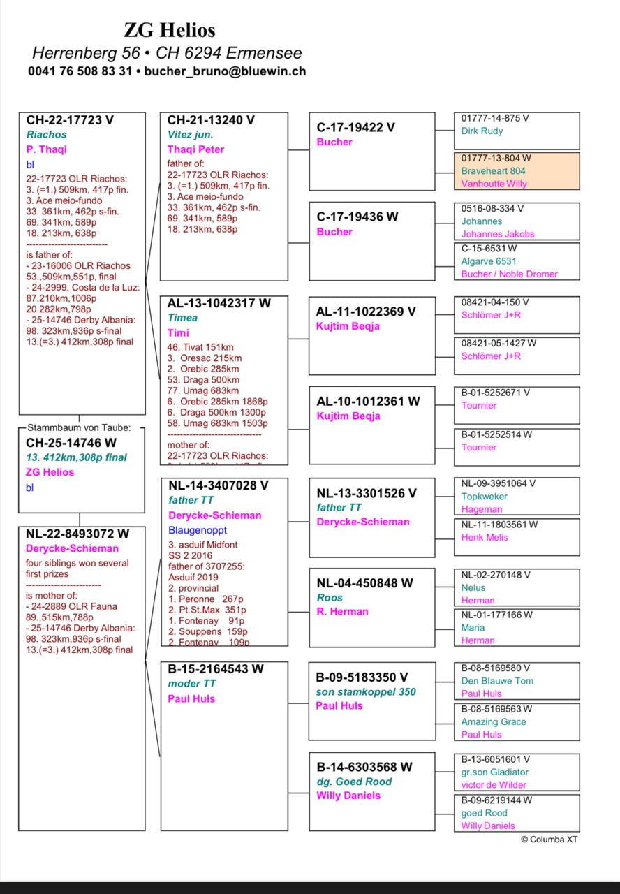 13	Final Race (412 km) 	 ZG Helios	 CH-14746-2025	