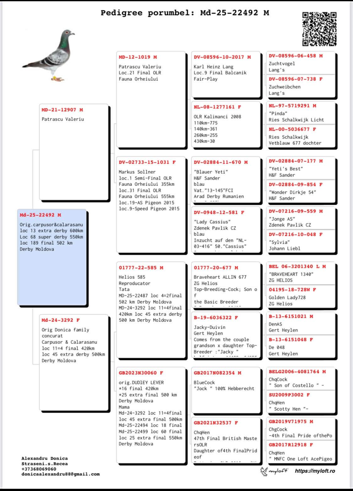 13	place Extra Super Derby (605 km) 	 Team Carpusor & Calarasanu	 MD-25-22492	