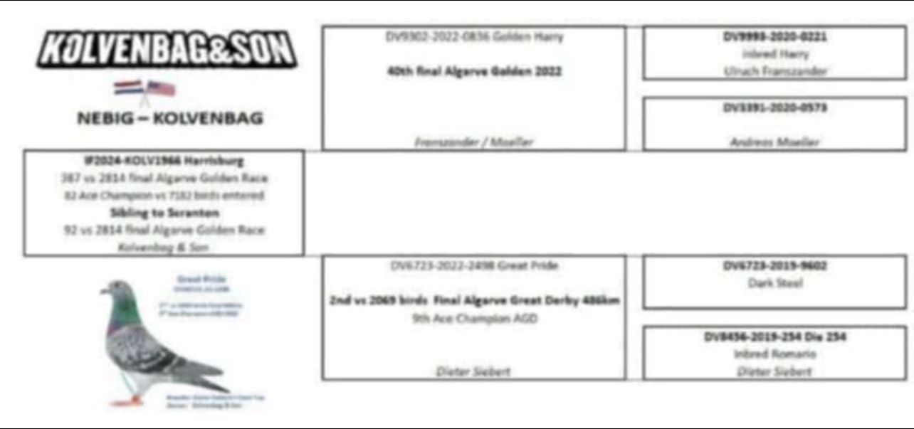 13	place Super Derby (506 km) 	 George Kritsotakis	 GR-0901801-2025	
