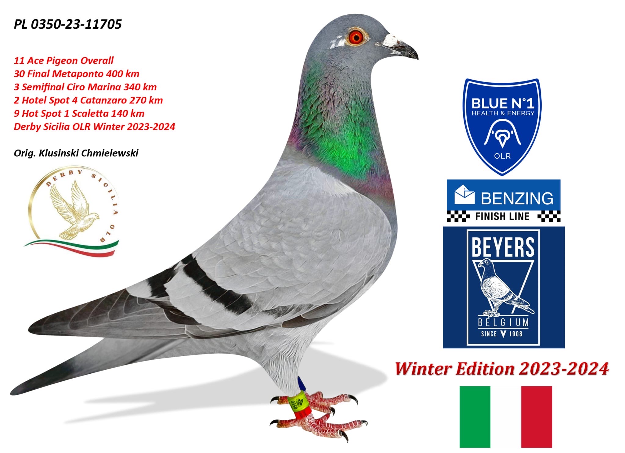 13	place Super Derby (550 km) 	 Derby Sicilia OLR	 IT-25-119278	