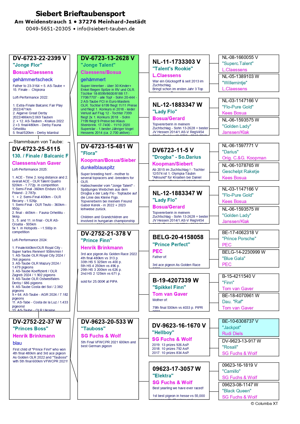 130	Final Race (506 km) 	 DIETER SIEBERT + YUE CHEN	 DV 6723 5115	
