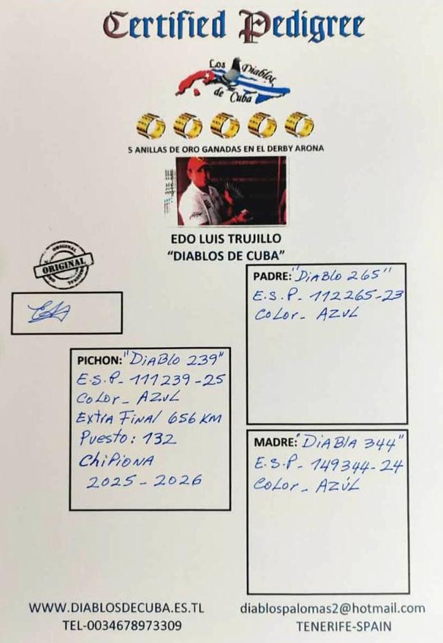 132	place EXTRA FINAL (656 km) DIABLOS DE CUBA & FLORIN	  ESP-25-111239	