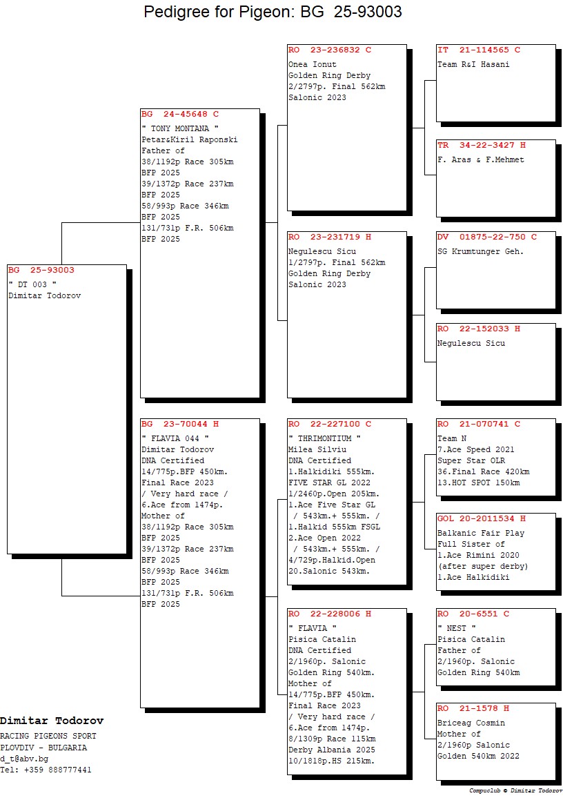 135	Final Race (506 km) 	 DIMITAR TODOROV	 BG 93003	