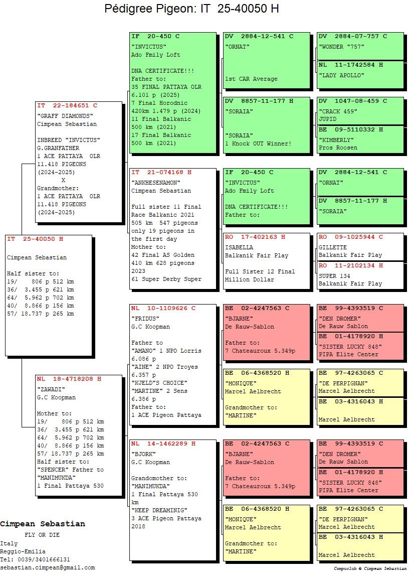 139	Final Race (506 km) 	 CIMPEAN SEBASTIAN	 IT 40050	