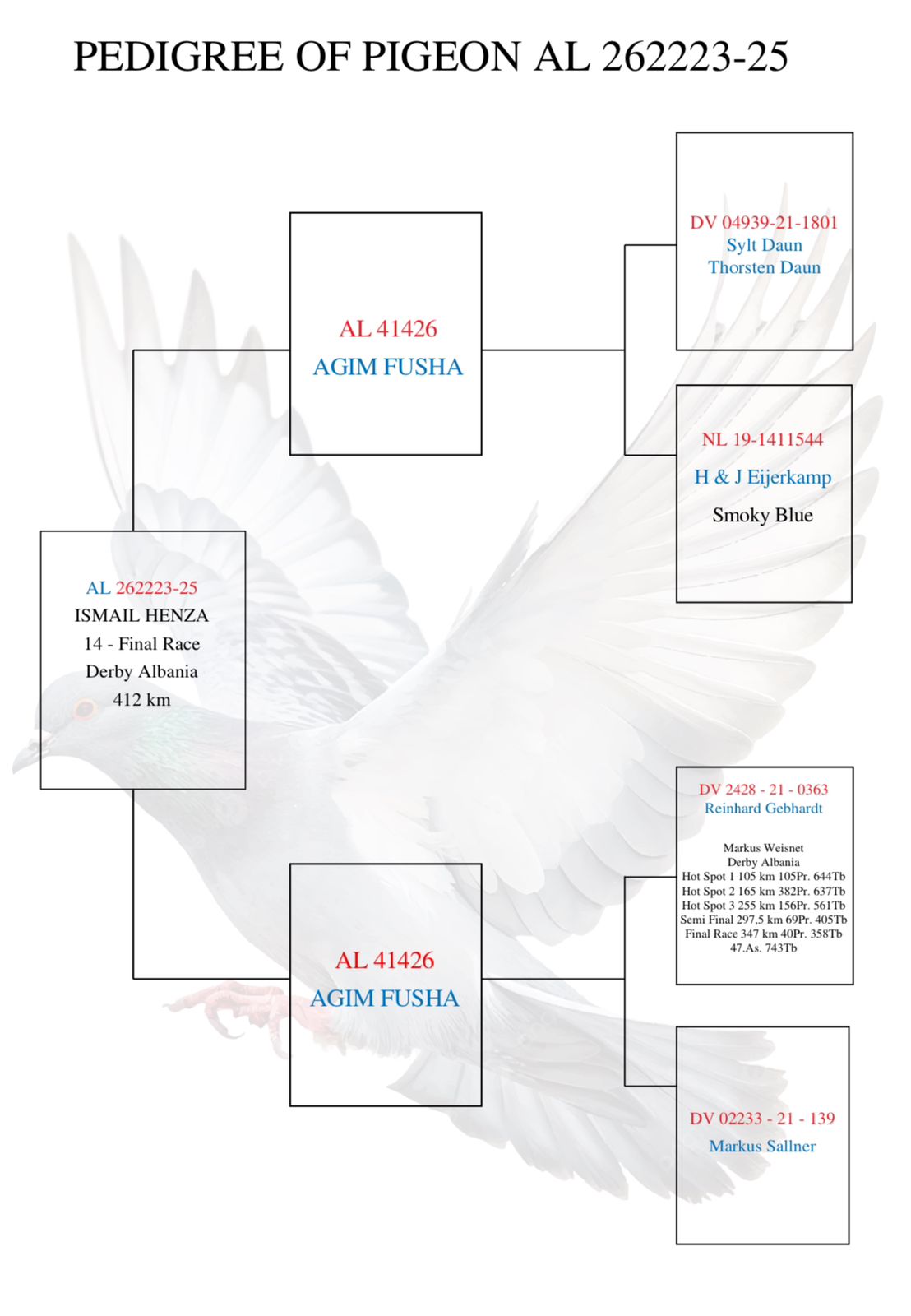 14	Final Race (412 km) 	 Ismail Henza	 AL-262223-2025	