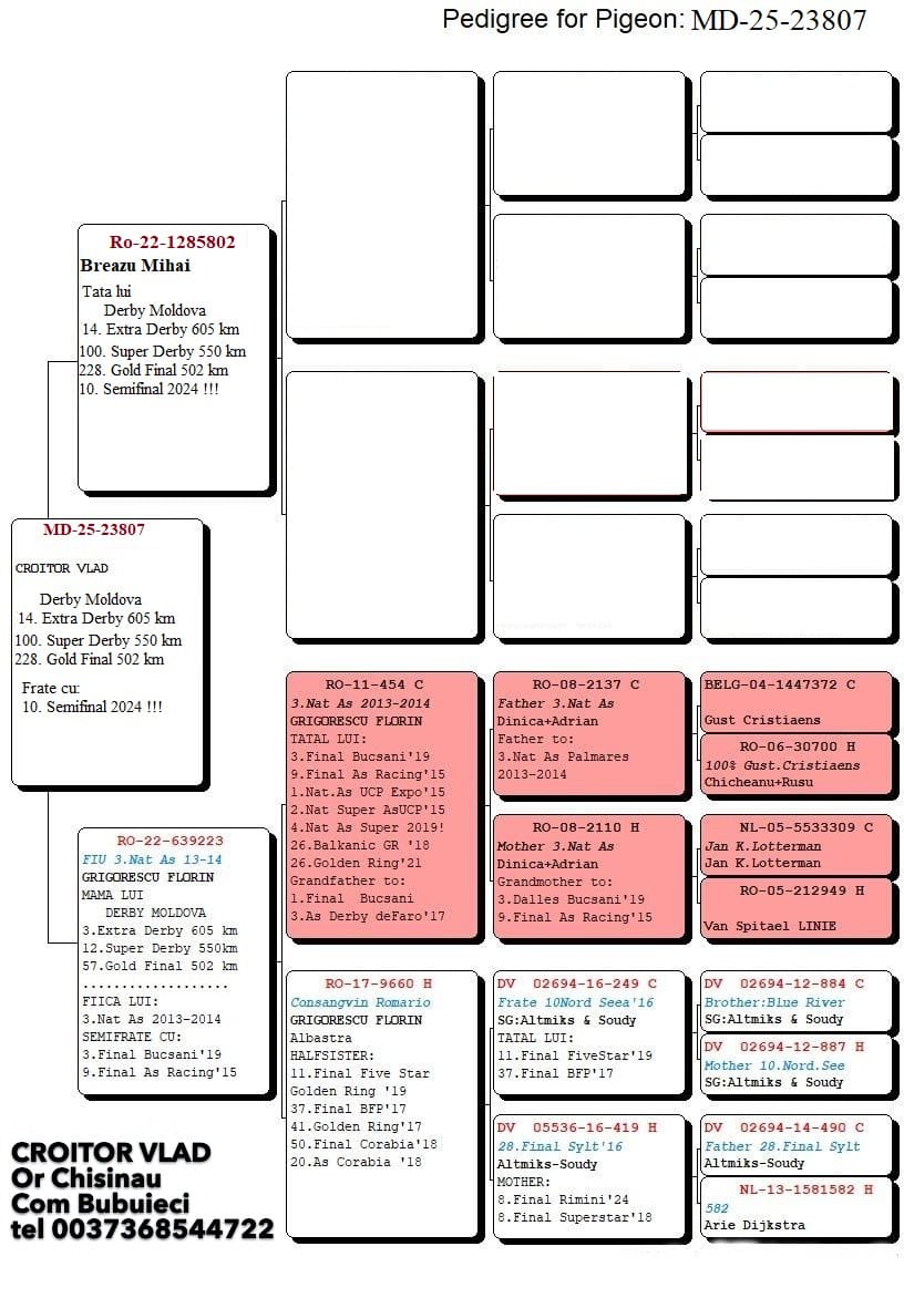 14	place Extra Super Derby (605 km) 	 Croitoru Vlad	 MD-25-23807	