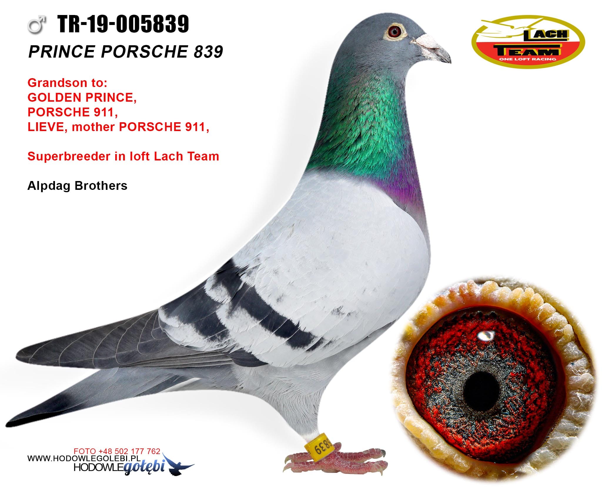 145	Final Race (506 km) 	 LACH TEAM	 PL 23 8211	