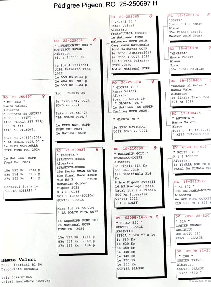 149	Final Race (506 km) 	 ANDREI GHEORGHE	 RO 250697	