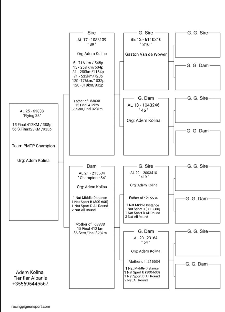 15	Final Race (412 km) 	 PMTP Champion	 AL-63838-2025	