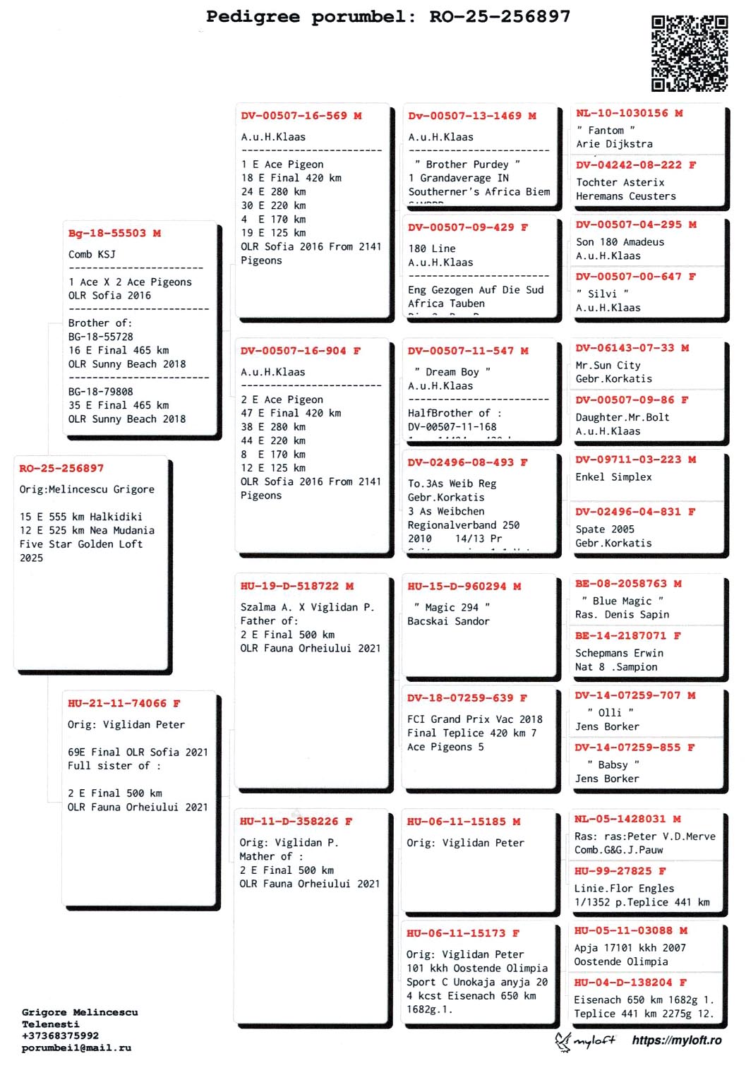 15	place Super Derby Halkidiki (554 km)	DERBY MOLDOVA OLR	256897	25					