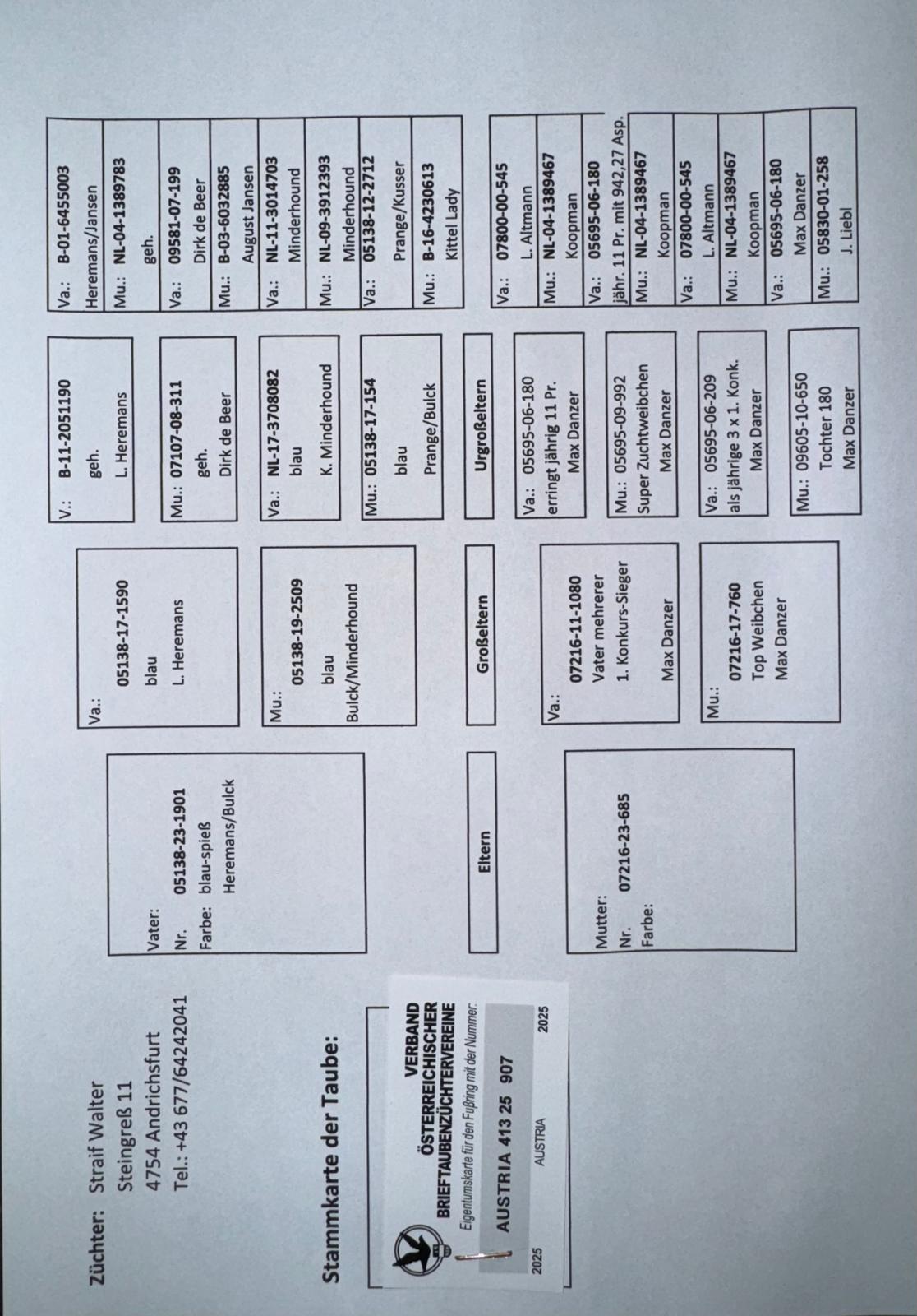 156	place EXTRA FINAL (656 km) STRAIF WALTER	  AT-413-25-907	
