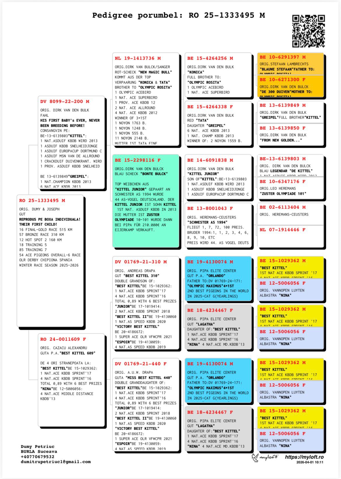 16	FINAL RACE (515 km) 	 DUMY + JOSEPH & MATEI + MARIUS	 RO-25-1333495	