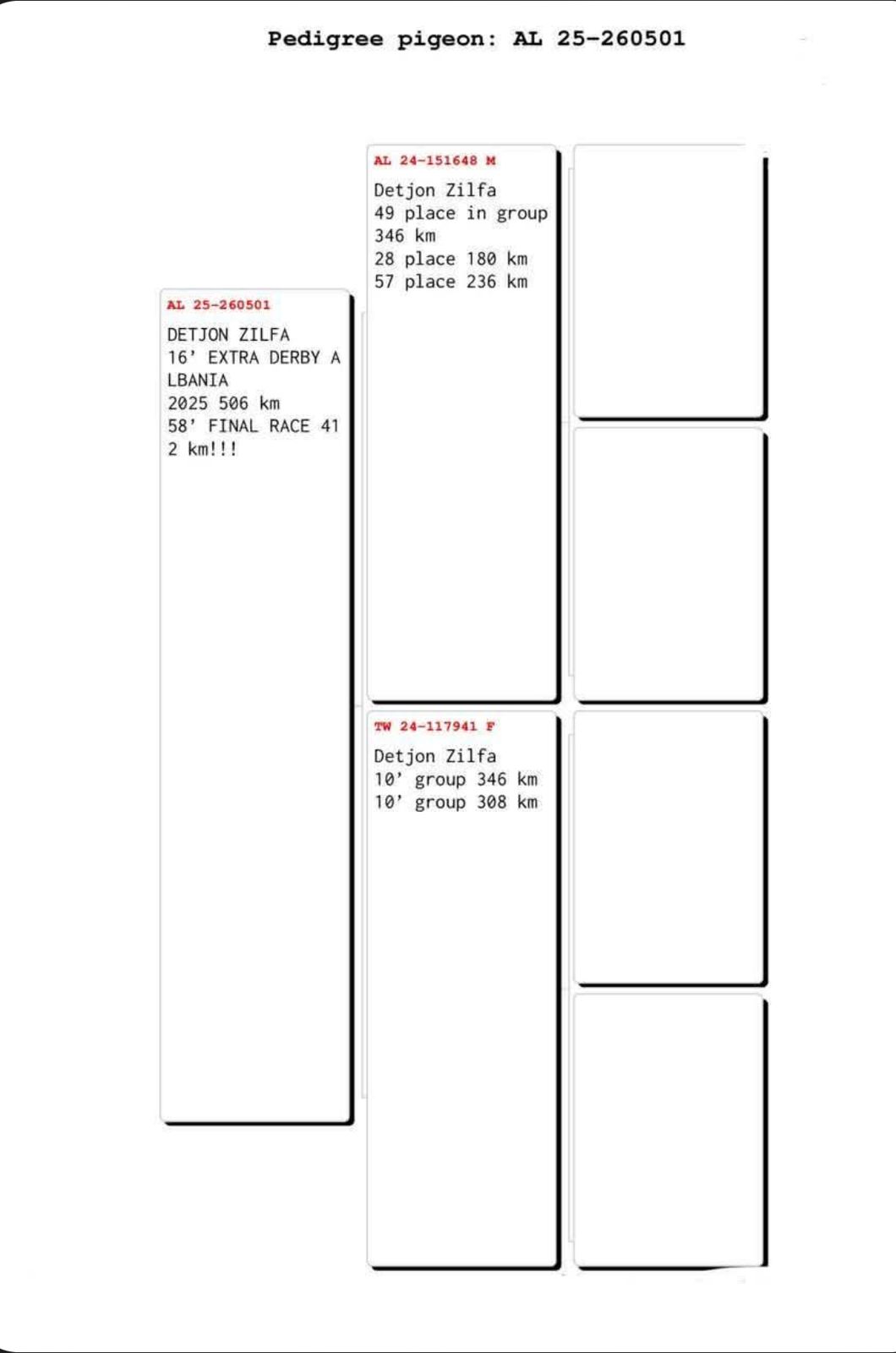 16	place Super Derby (506 km) 	 Detjon Zifla	 AL-260501-2025	