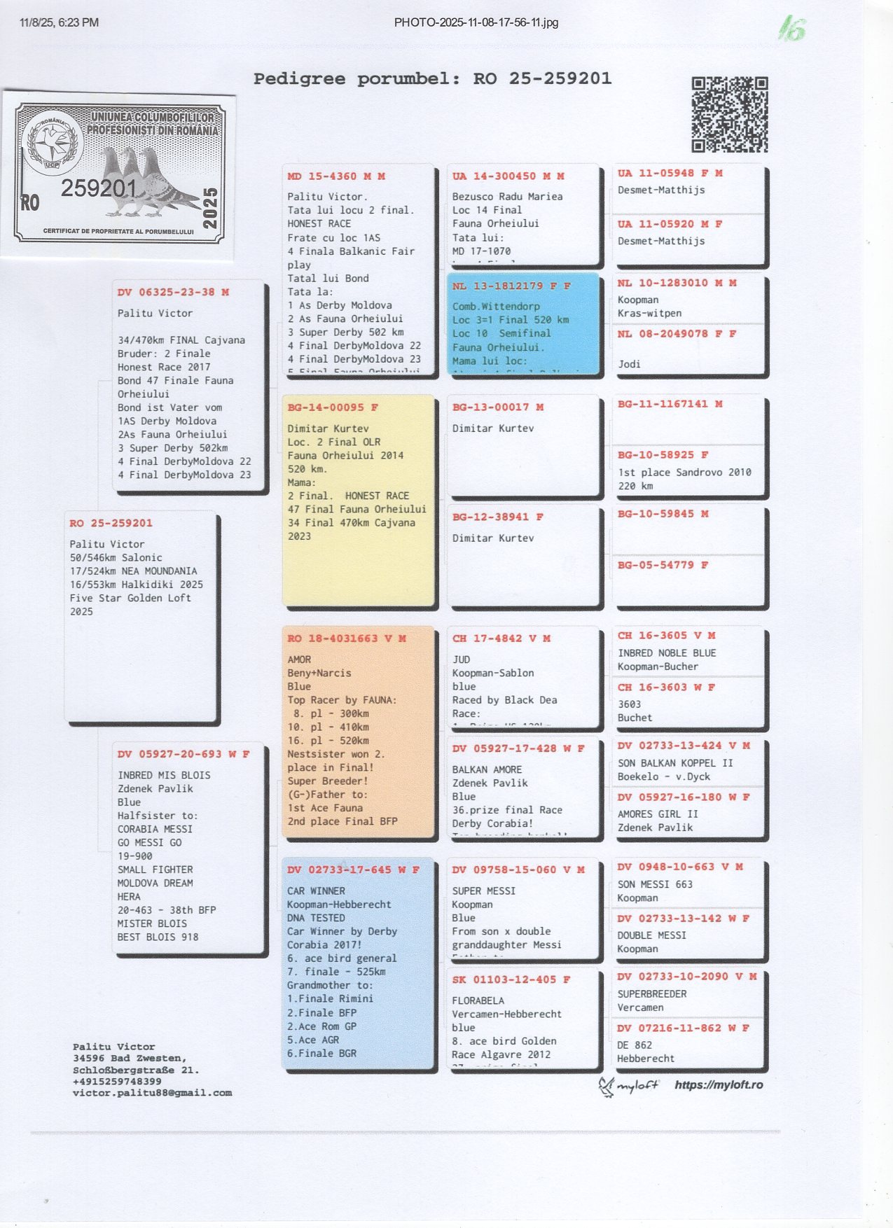 16	place Super Derby Halkidiki (554 km)	PALITU VICTOR	259201	25					