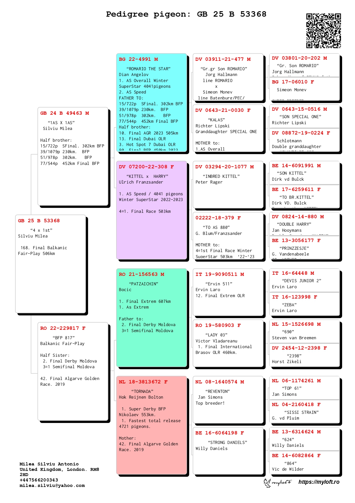 168	Final Race (506 km) 	 SILVIU MILEA	 GB B 53368	