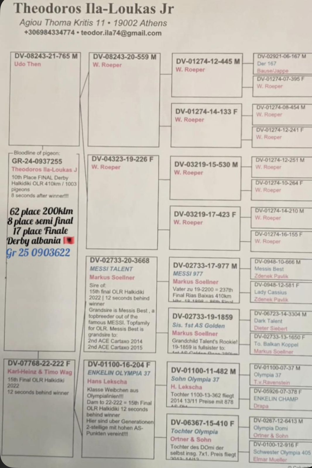 17	Final Race (412 km) 	 Attica Racing Pigeons 09	 GR-0903622-2025	