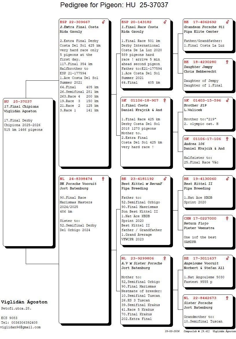 17	FINAL RACE (515 km) 	 VIGLIDAN AGOSTON	 HUNG-25-11-37037	