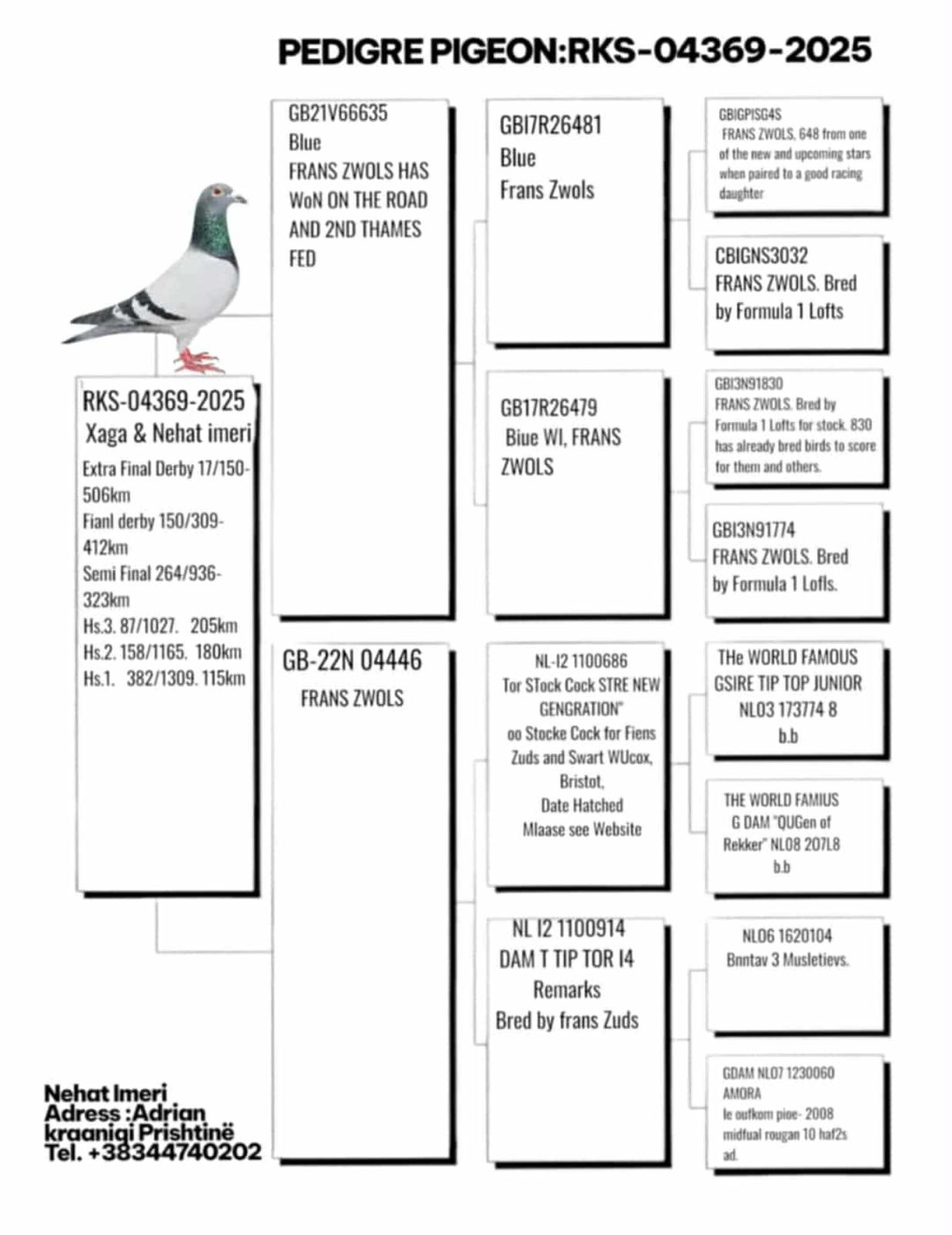 17	place Super Derby (506 km) 	 Xaga	 RKS-04369-2025	