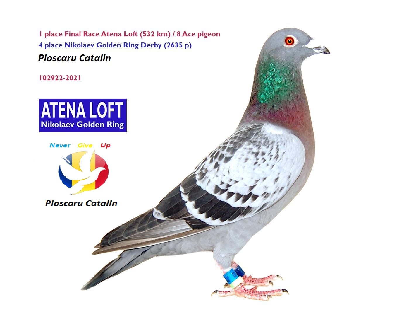 171	place EXTRA FINAL (656 km) FAMILIA PLOSCARU	  RO-25-1111161	