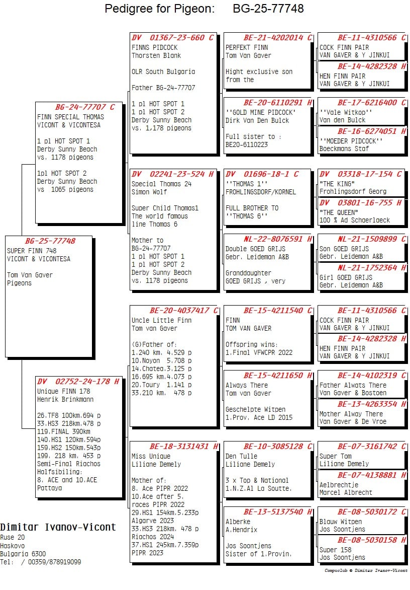 173	Final Race (506 km) 	 VICONT & VICONTESA	 BG 77748	