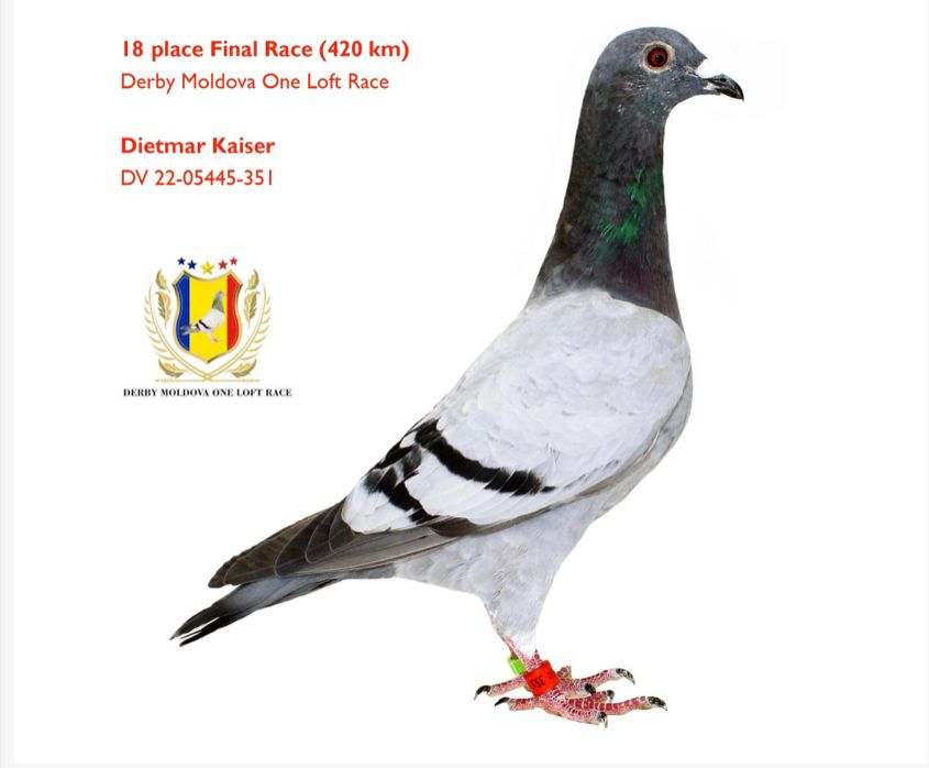 175	place EXTRA FINAL (656 km) GRIGORE MELINCESCU DERBY MOLDOVA OLR	  MD-25-2739	