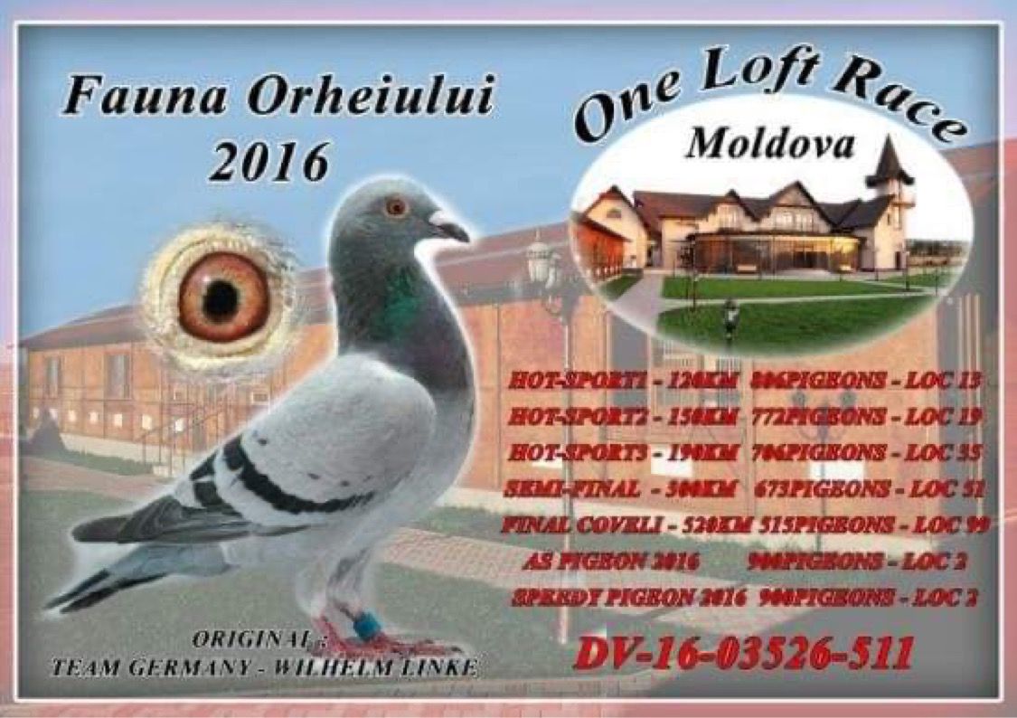 175	place EXTRA FINAL (656 km) GRIGORE MELINCESCU DERBY MOLDOVA OLR	  MD-25-2739	