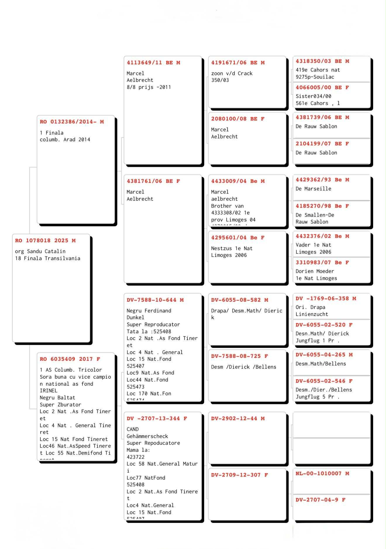 18	Final (420 km) 	 SANDU CATALIN TM	 RO-25-1078018