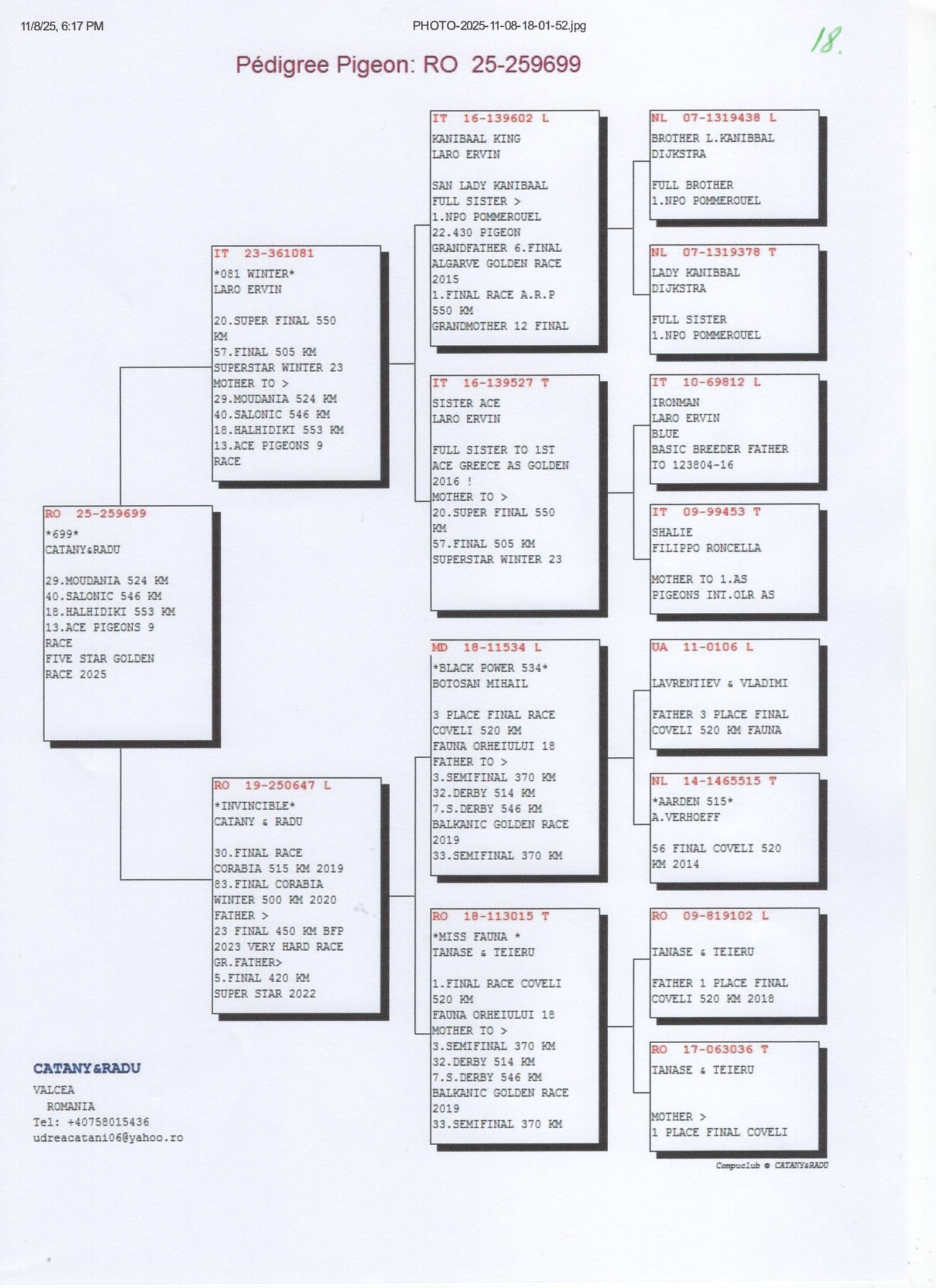 18	place Super Derby Halkidiki (554 km)	UDREA CATANI+RADU	259699	25					