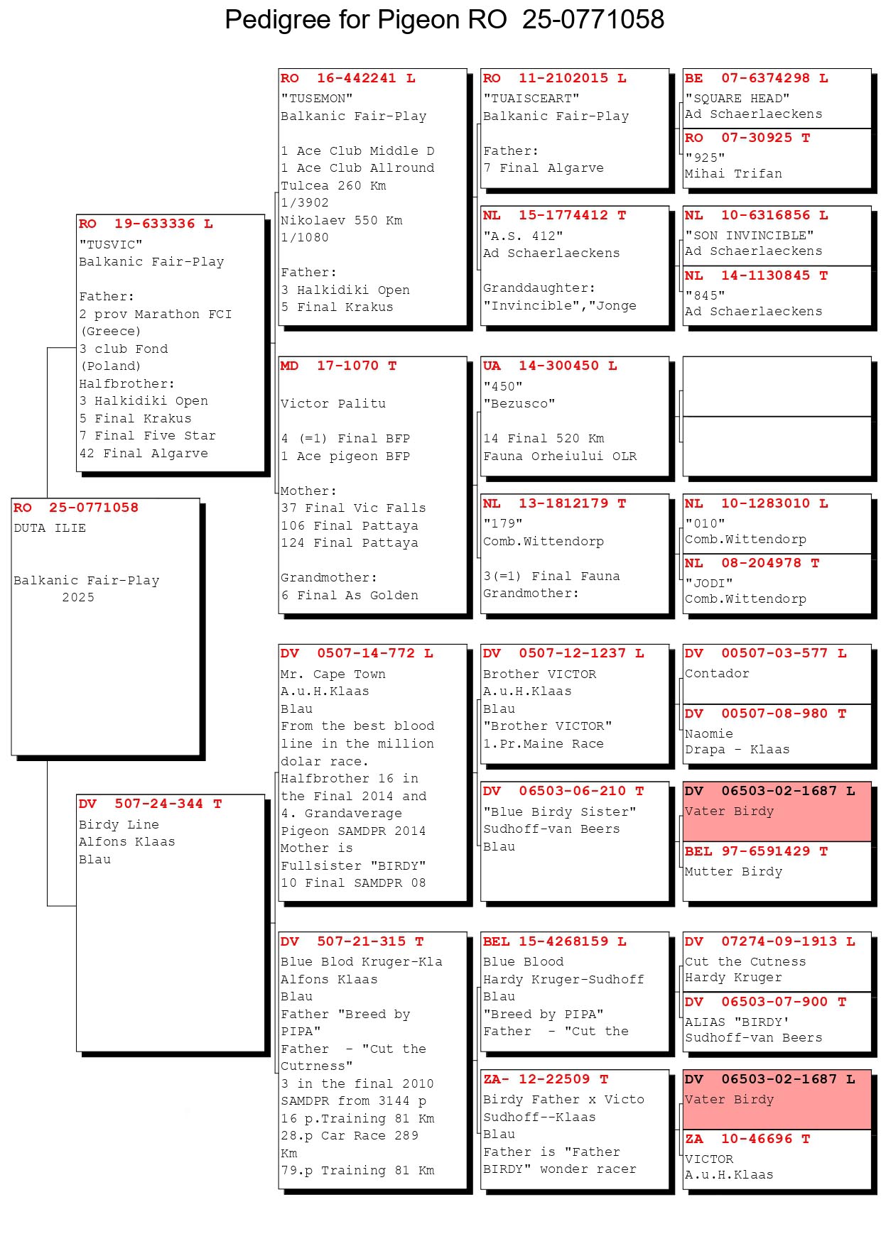 184	Final Race (506 km) 	 DUTA ILIE	 RO 771058	